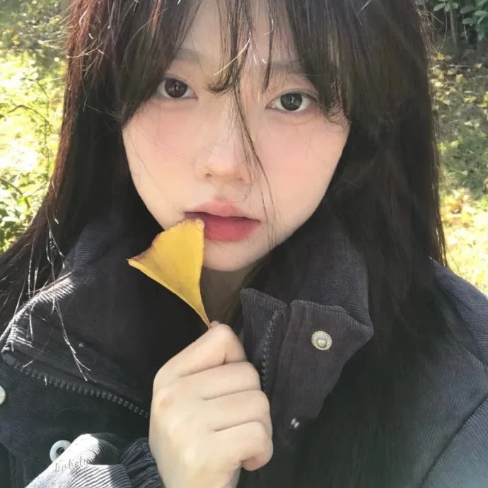 少年历险记